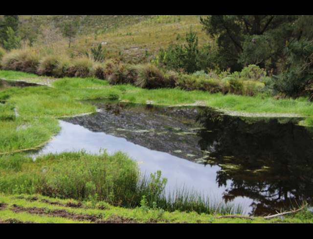 911HA FARM FOR SALE IN RIVERSDALE RURAL
